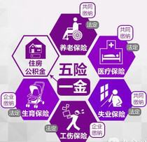 信息咨詢服務的價格、批發與廠家指南